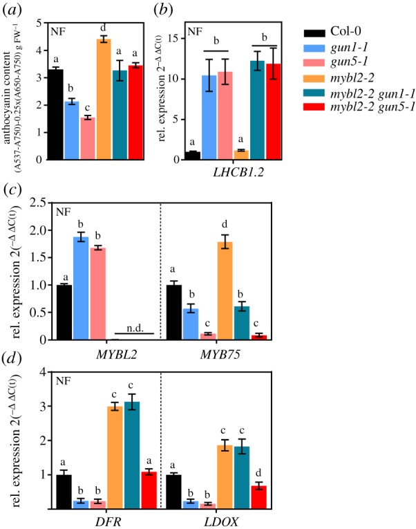 Figure 6.