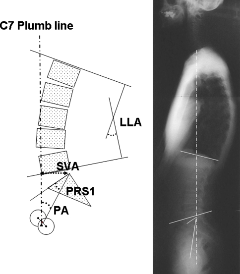 Fig. 2