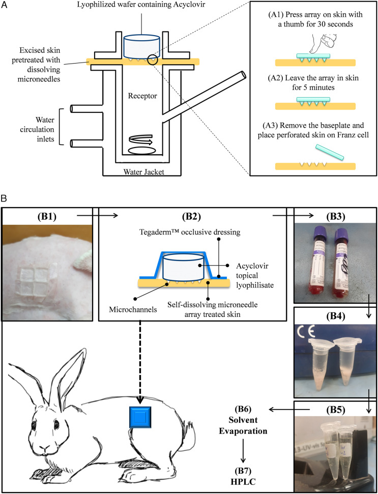 Figure 2.