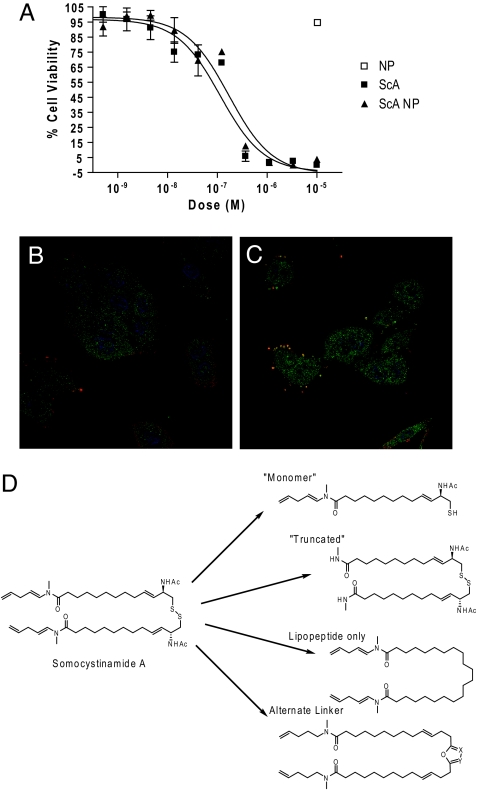 Fig. 2.