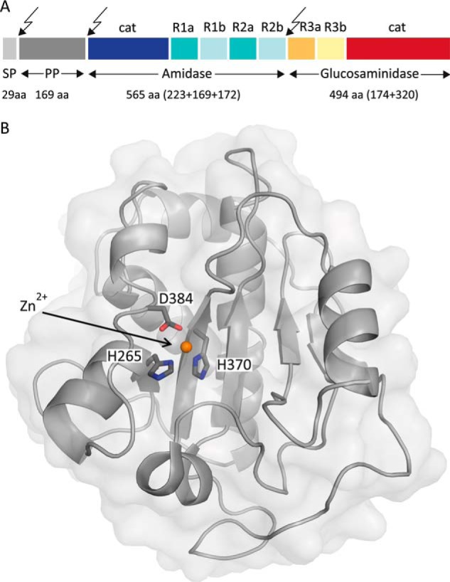 FIGURE 1.