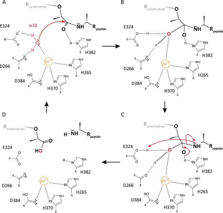 FIGURE 4.