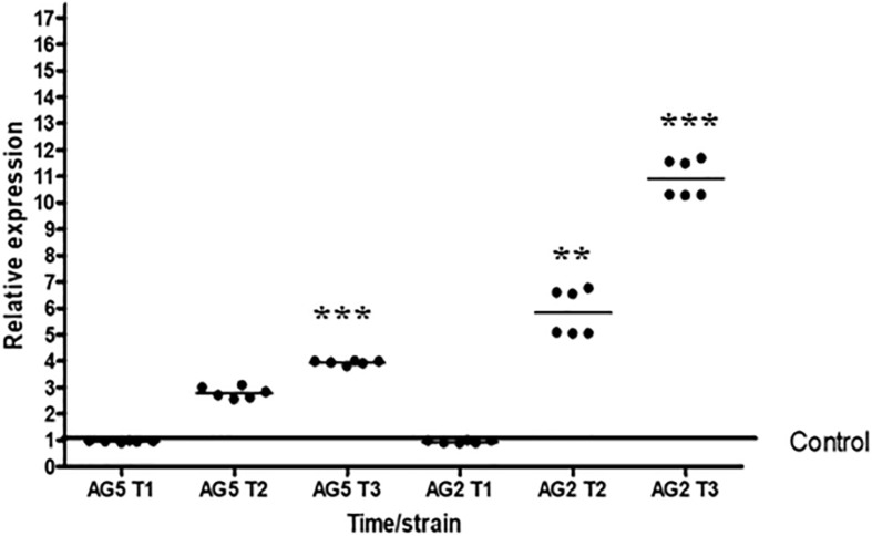 FIGURE 3