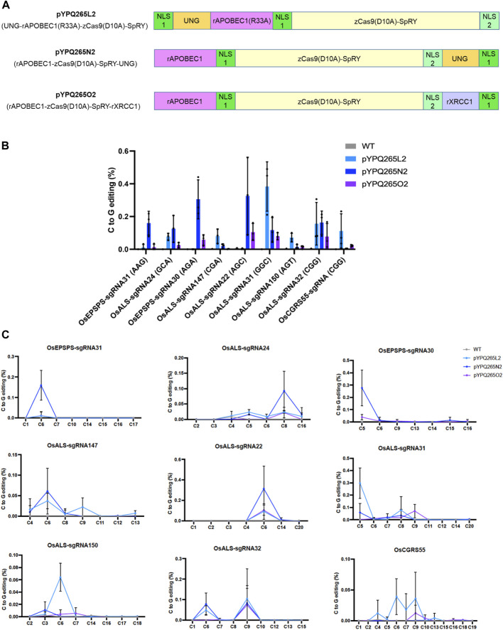 FIGURE 3