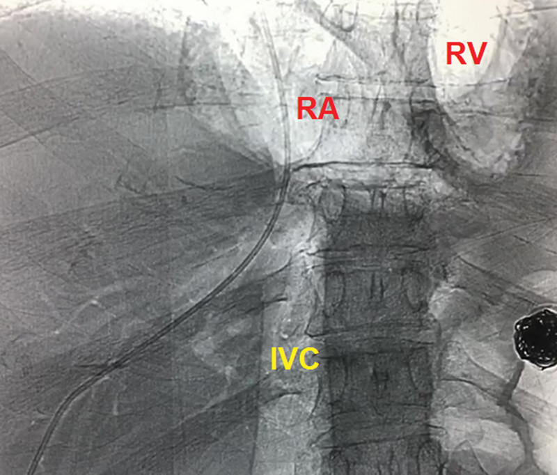 Fig. 5