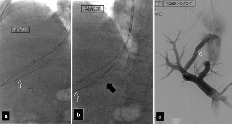 Fig. 27