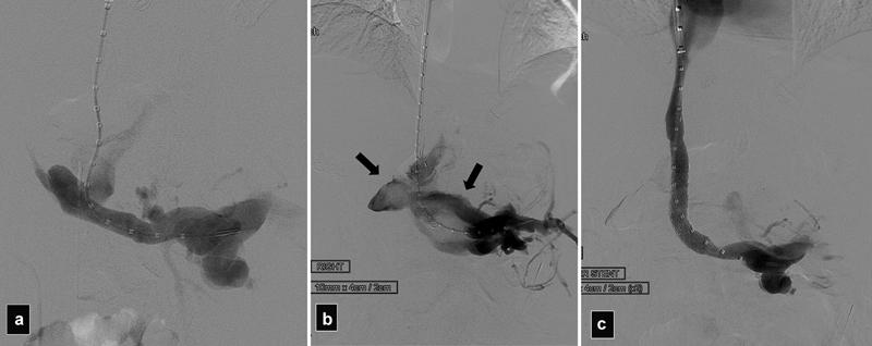 Fig. 8