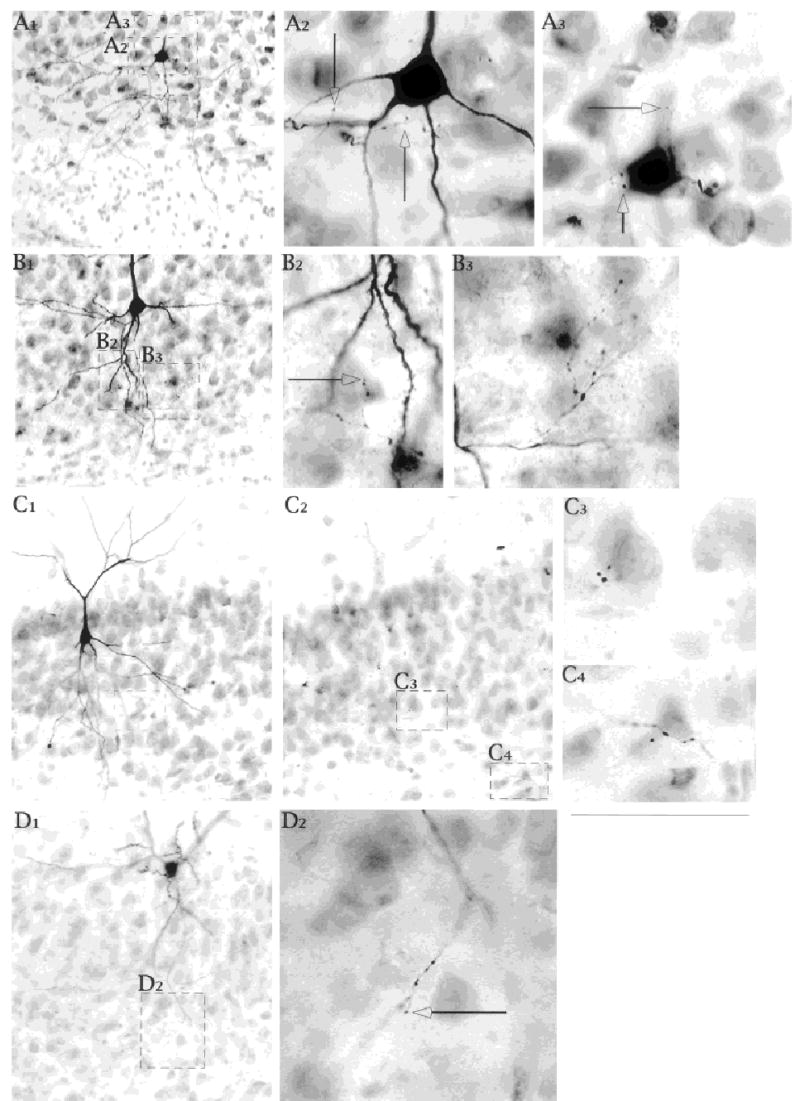 Fig. 8