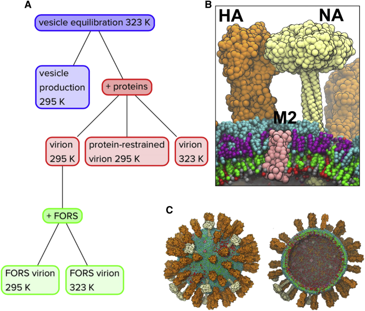 Figure 1