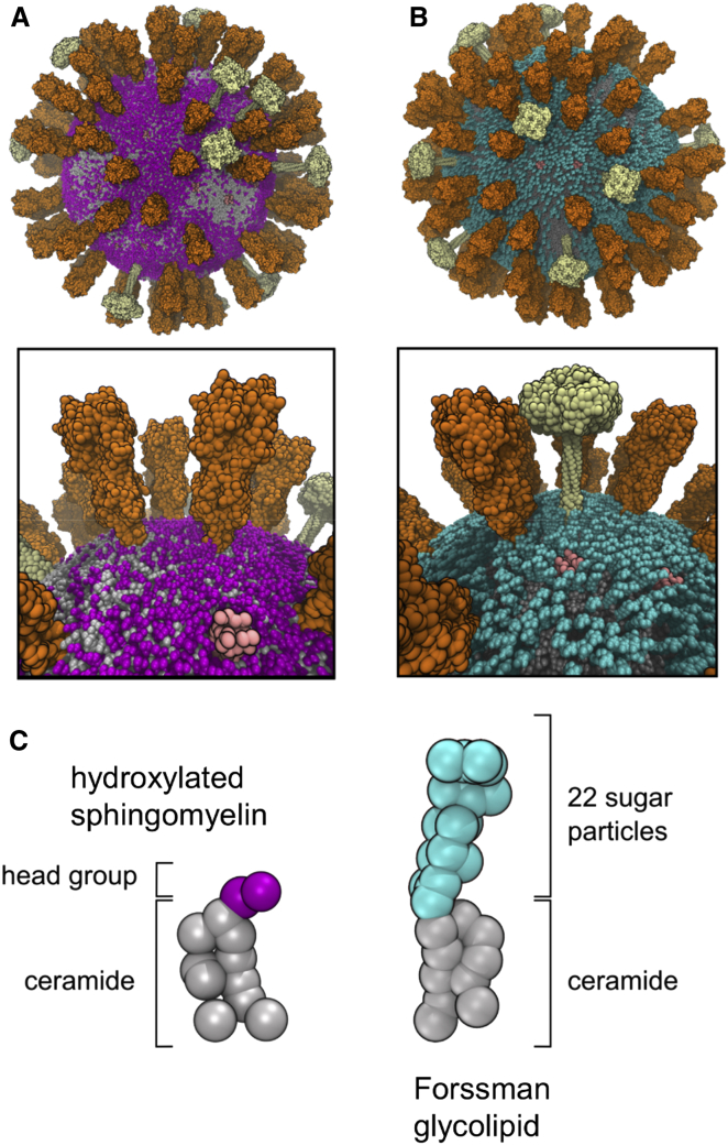 Figure 3