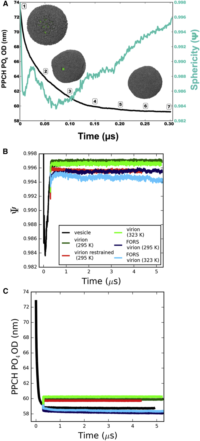 Figure 2