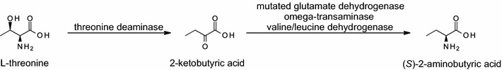 Fig. 1