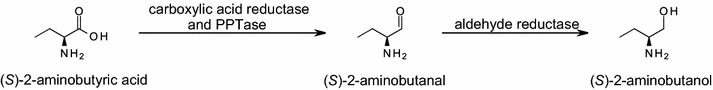 Fig. 3