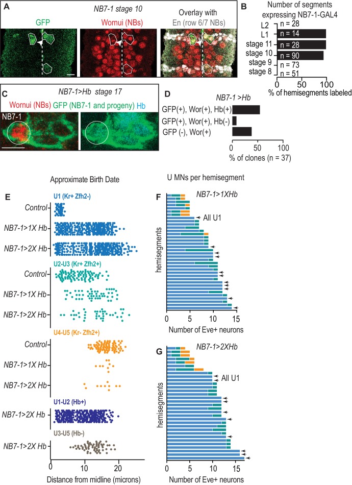 Figure 2—figure supplement 1.