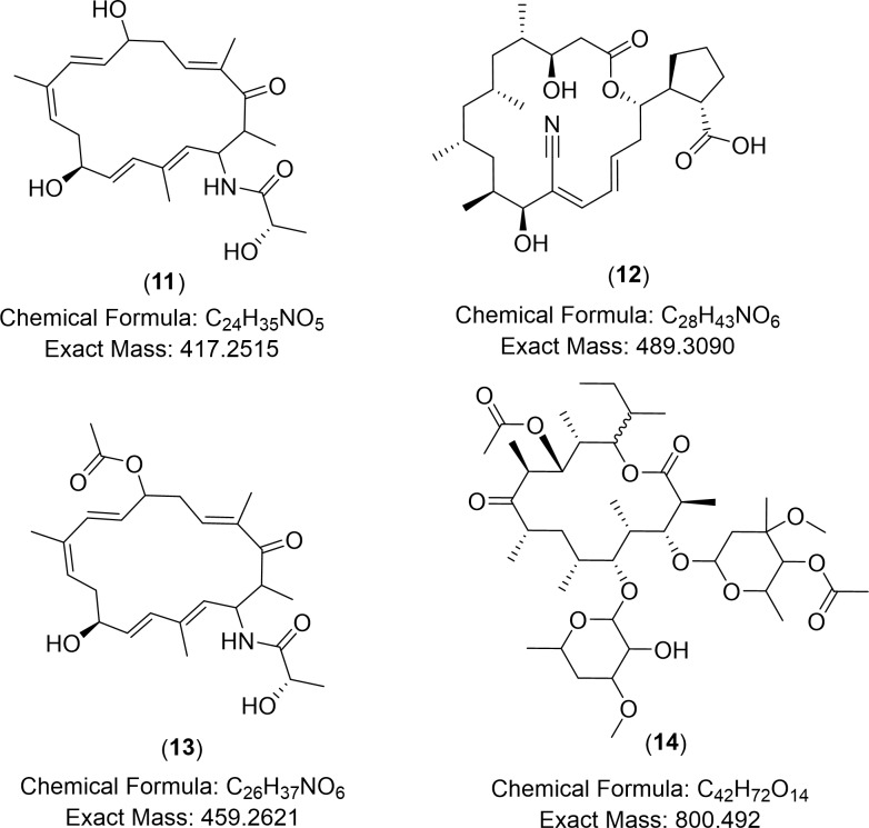 Fig 10