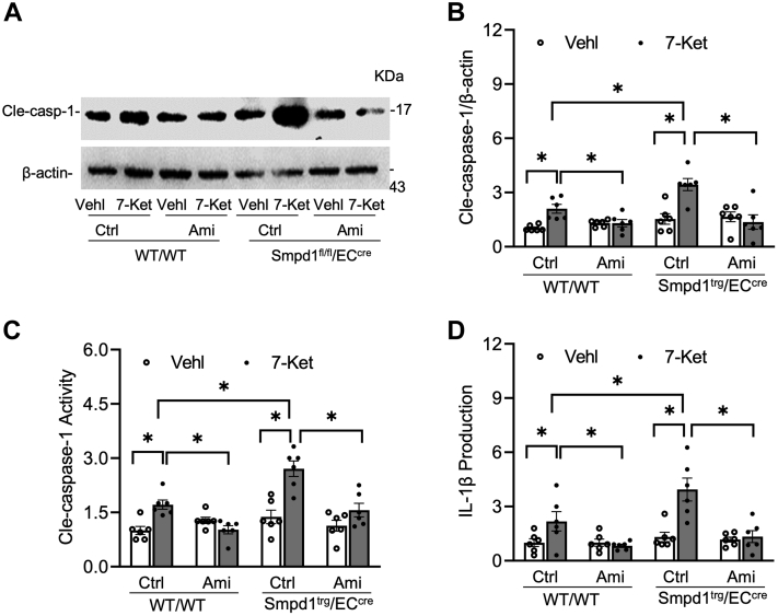 Fig. 7