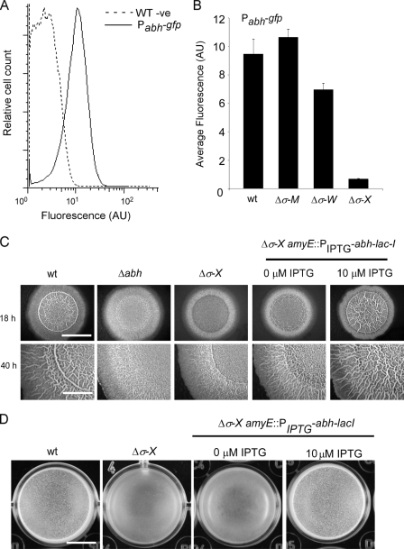 FIG. 2.