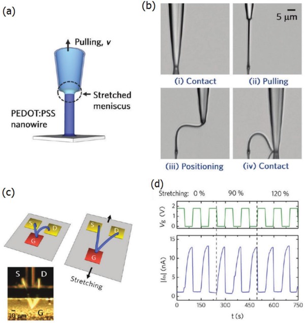 Figure 31