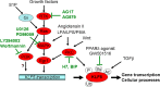 Fig. 2