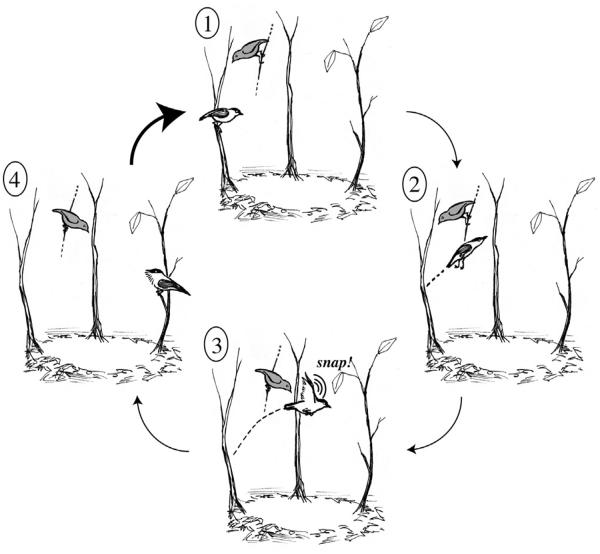 Fig. 1