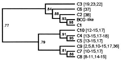 FIG. 3