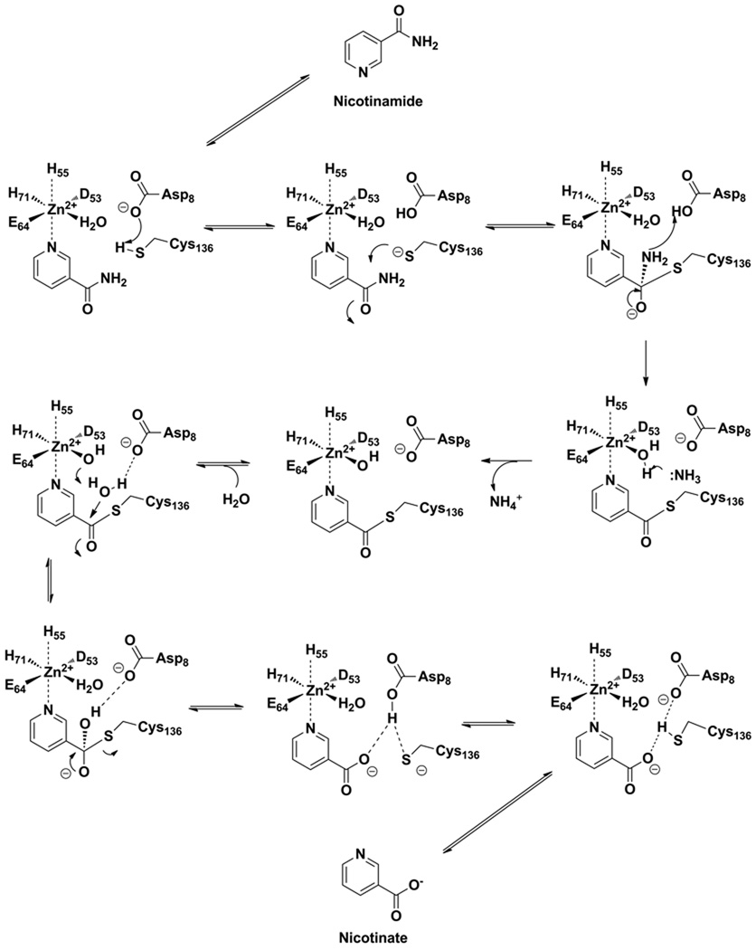 Scheme 7