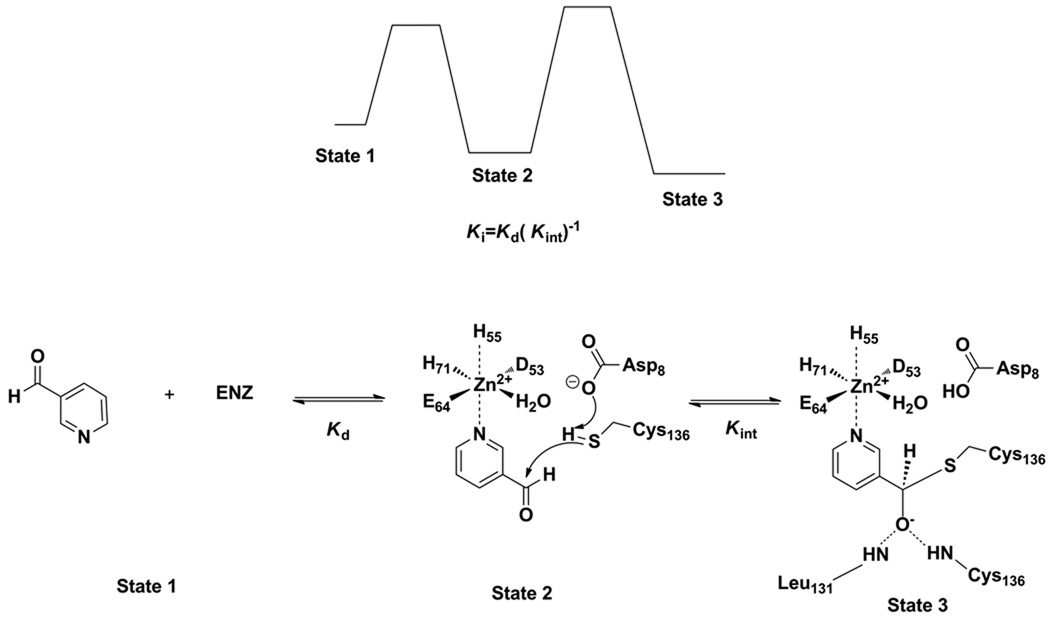 Scheme 4