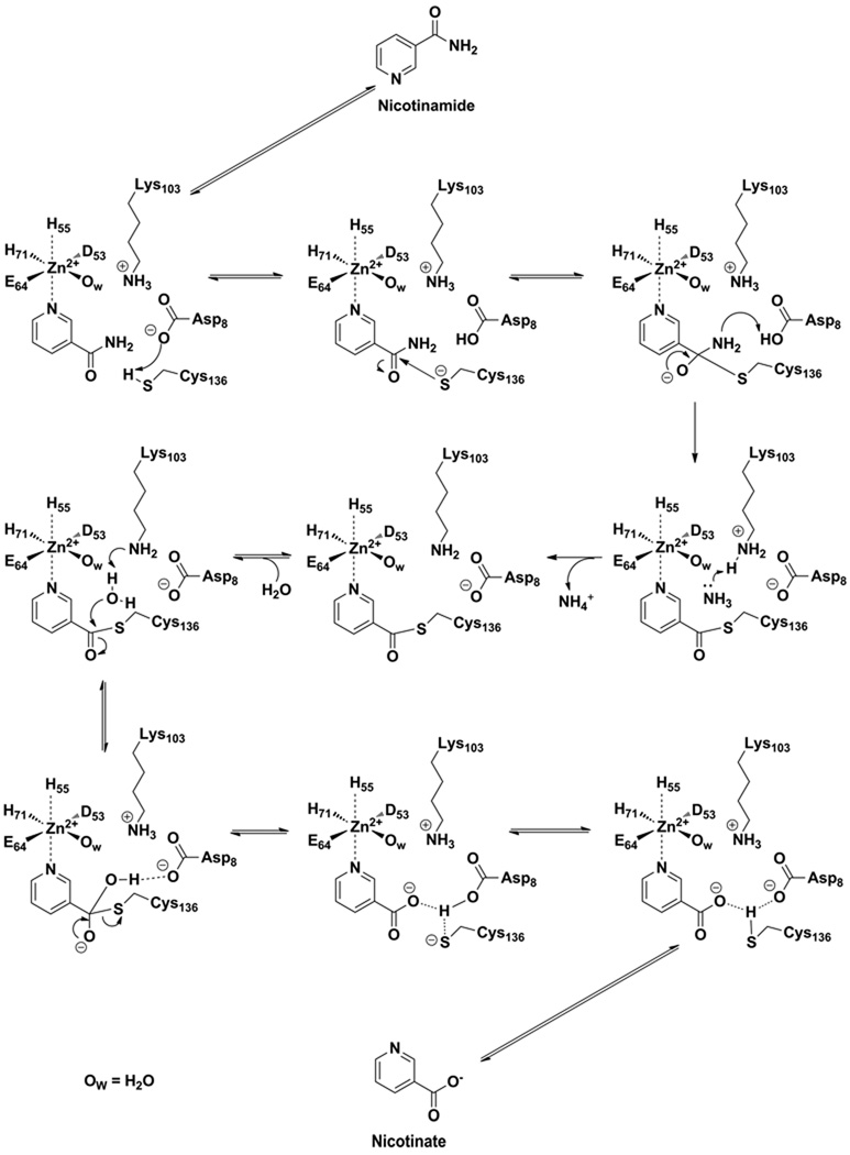 Scheme 6