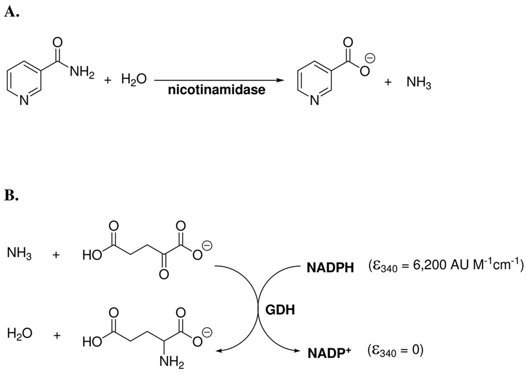 Scheme 3