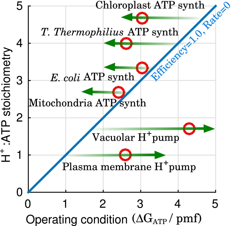 Fig. 6.