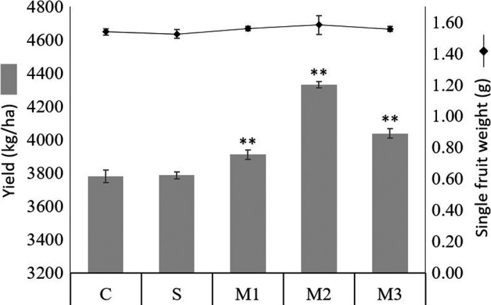 FIGURE 1