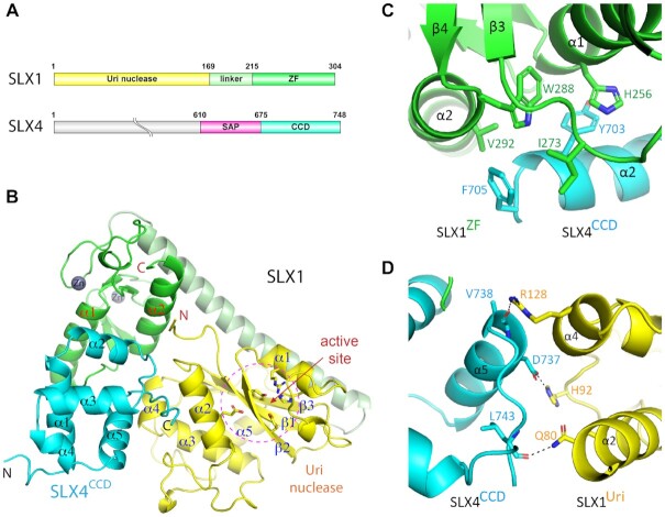 Figure 1.