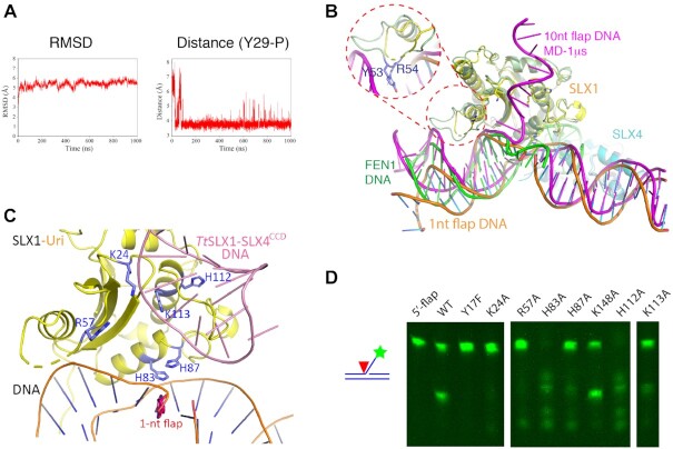 Figure 6.