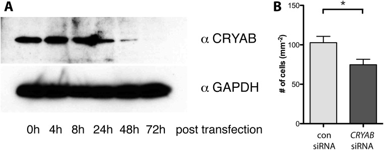 Fig. S3.