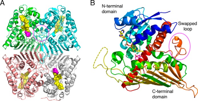 Figure 3.