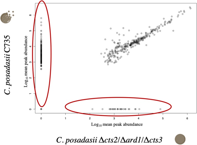 FIGURE 9