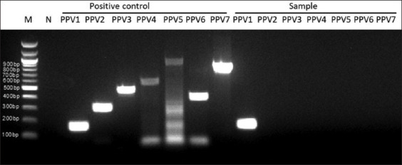 Figure-3