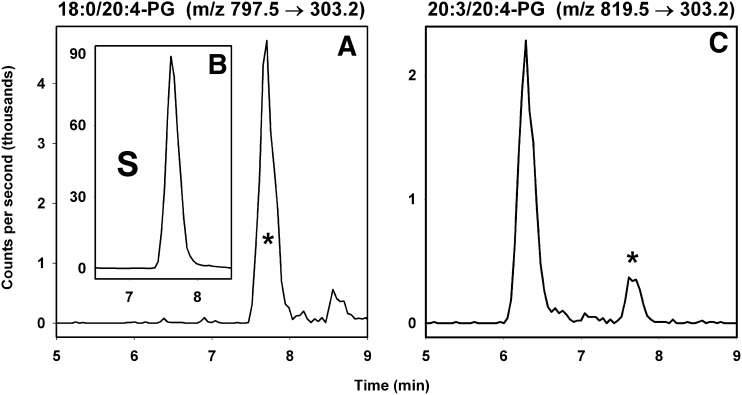 Fig. 3.