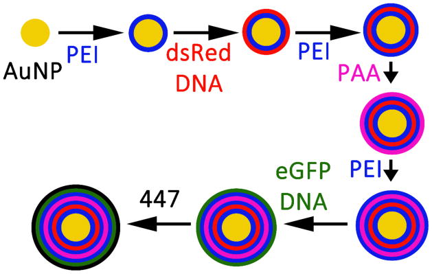 Scheme 1