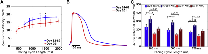 Figure 5