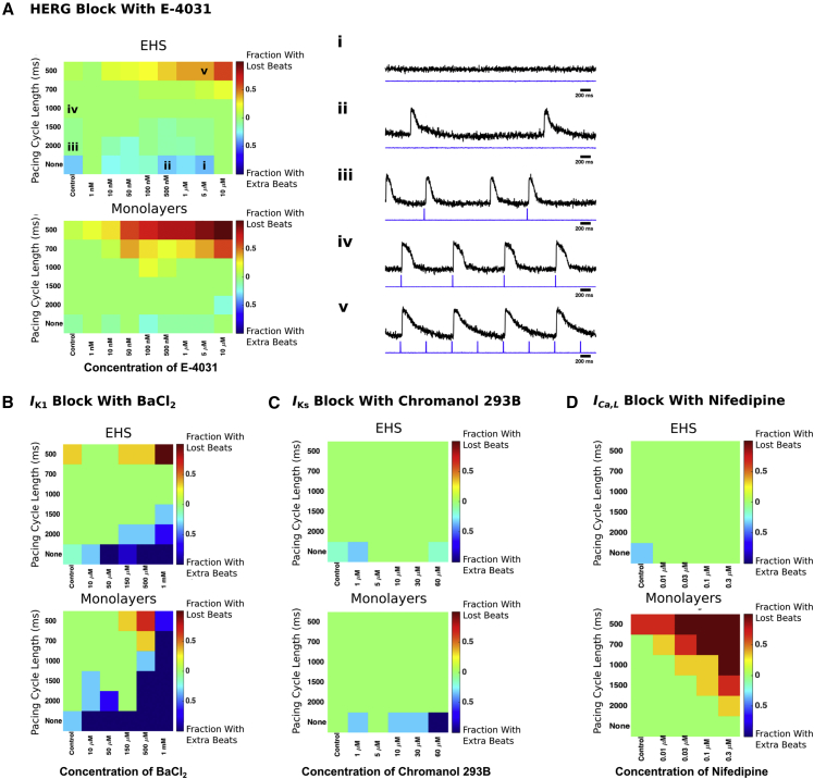 Figure 6