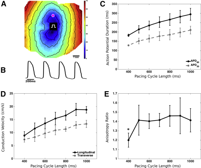 Figure 4