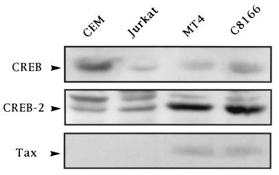 FIG. 10