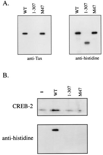 FIG. 5