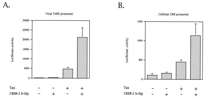 FIG. 6