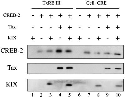 FIG. 8