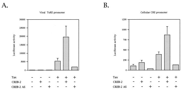 FIG. 1