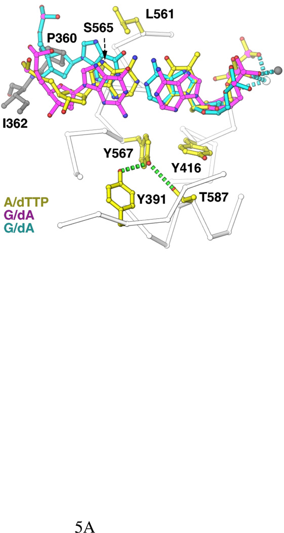 Figure 5