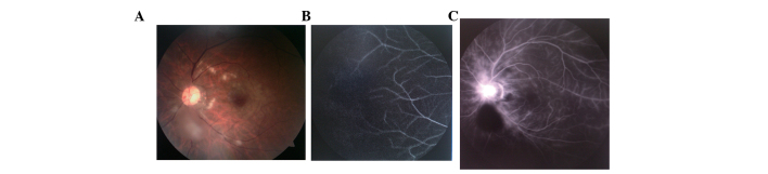 Figure 3.