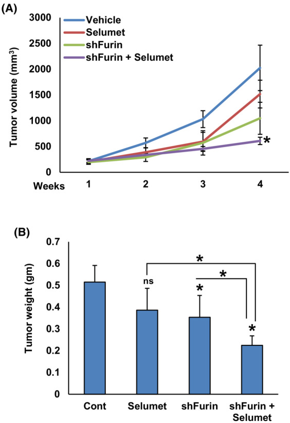 Fig. 12